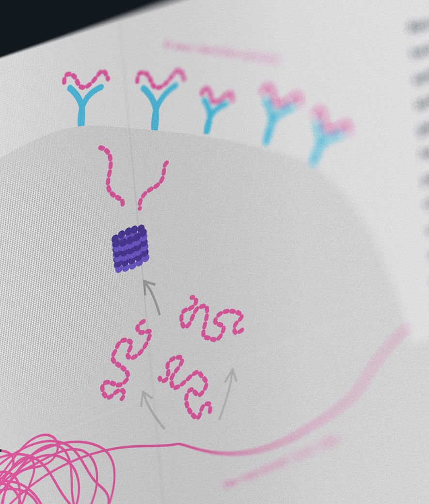 Ervaxx Porcess Illustration
